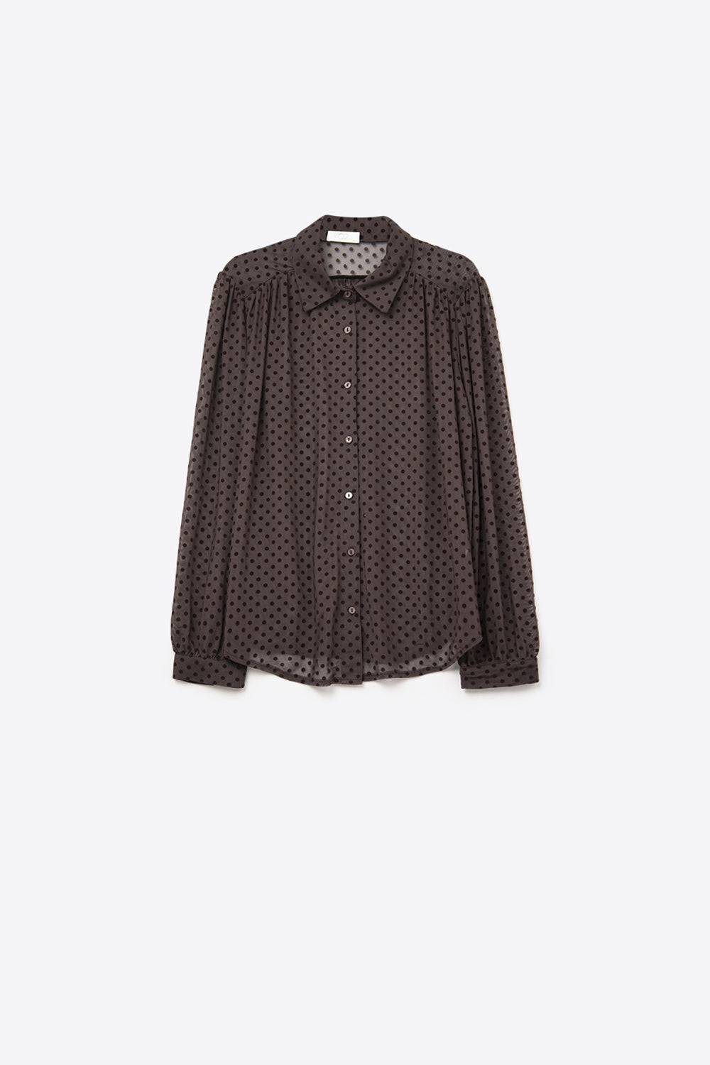 Brown Polka-Dot Button-Up Shirt in chiffon