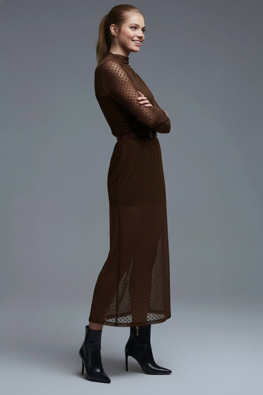 Brown Polka Dot Maxi Dress in sheer fabric