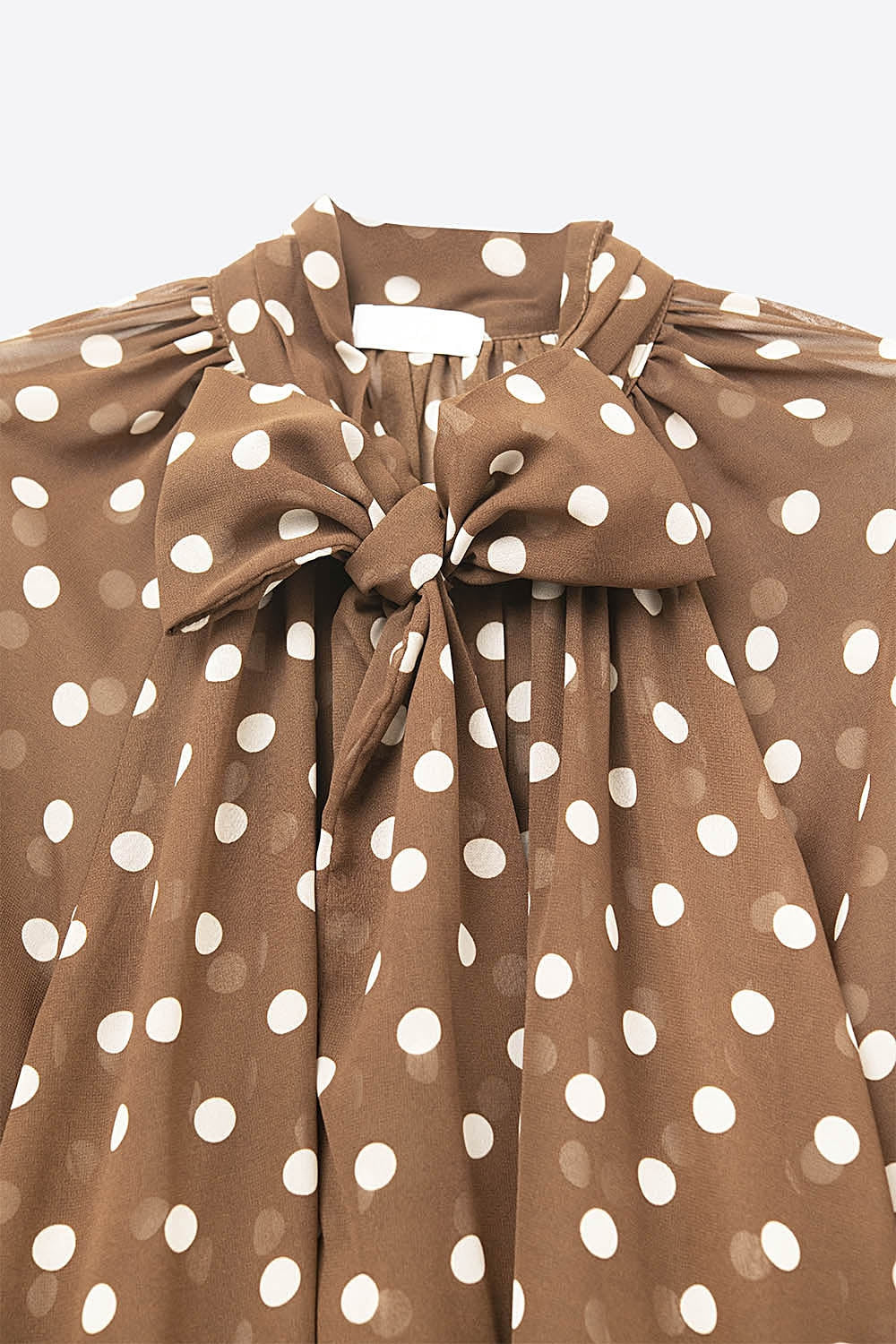 Brown Polka-Dot Shirt with Lace Detail in chiffon fabric