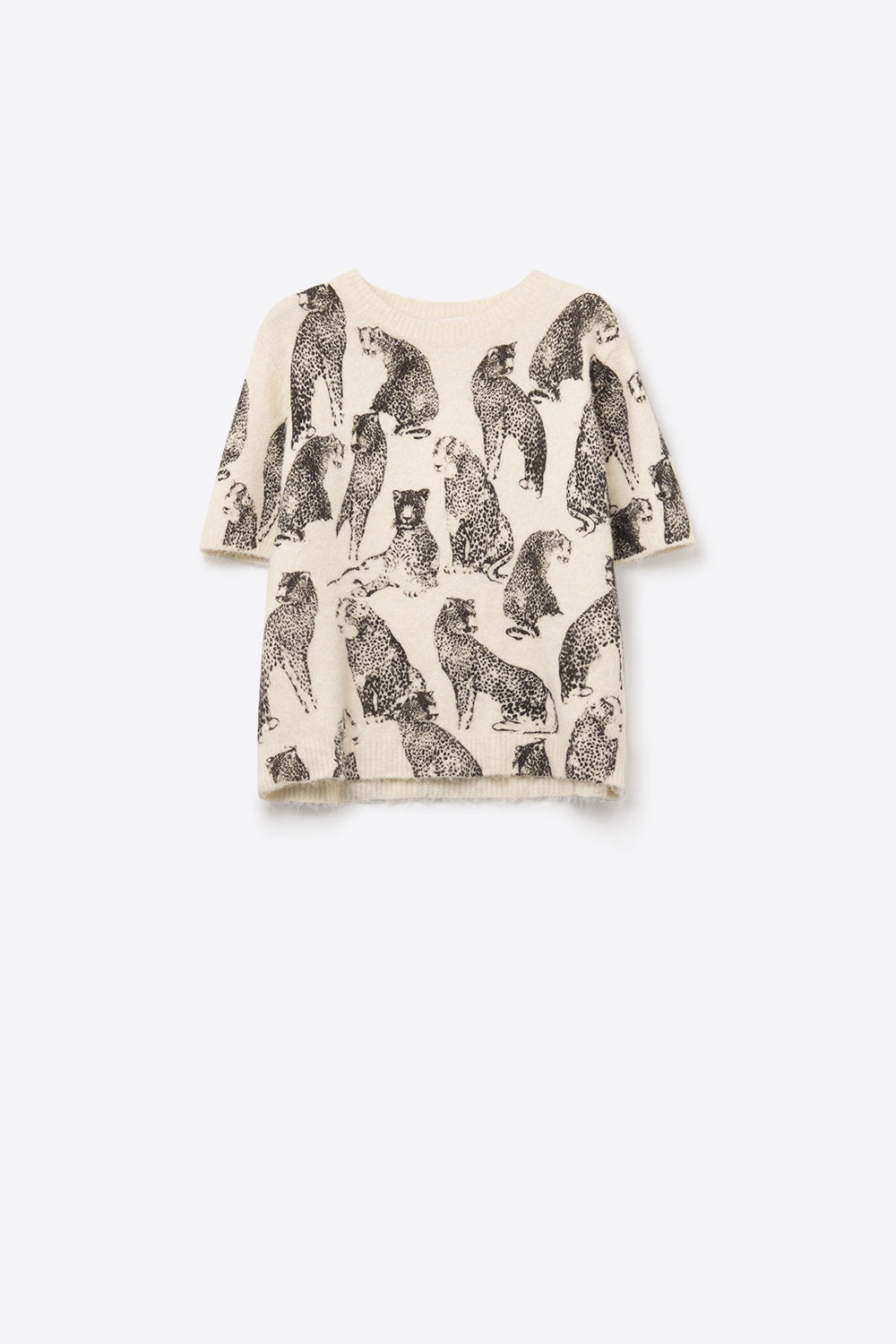 Chic Cream Animal-Print Short-Sleeve Sweater