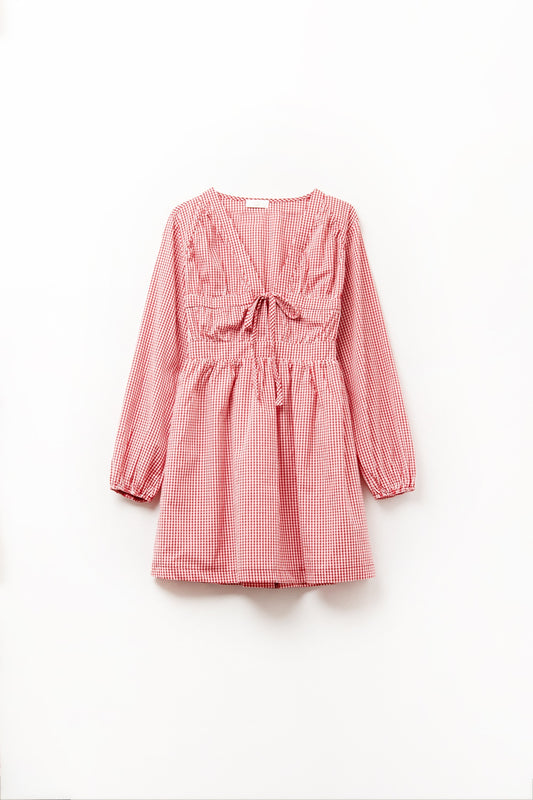 Q2 Gingham Tie-Front Mini Dress in Red