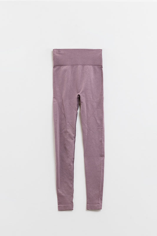 Q2 Mauve Seamless Leggings
